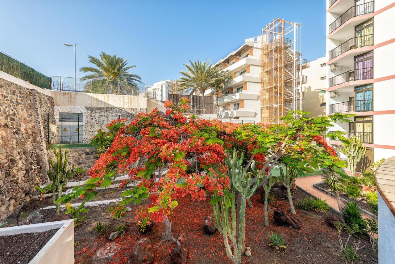 Appartamento Pulpo Amarillo Playa del Inglés Esterno foto